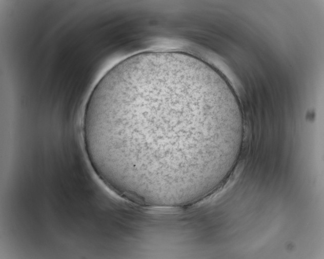 X0000102281487200808221252