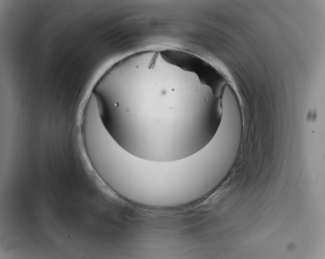 X0000102281488200808221252