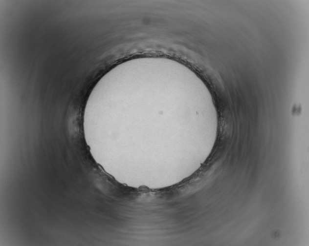 X0000102281490200808221251