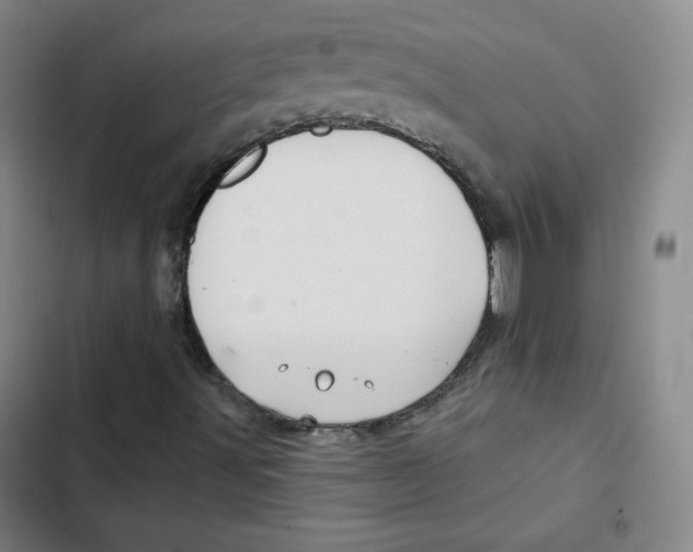 X0000102281491200808221251