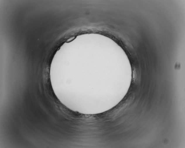 X0000102281492200808221251