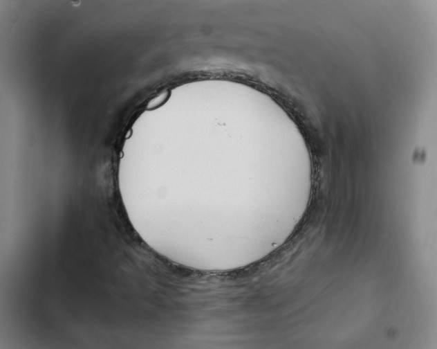 X0000102281493200808221251