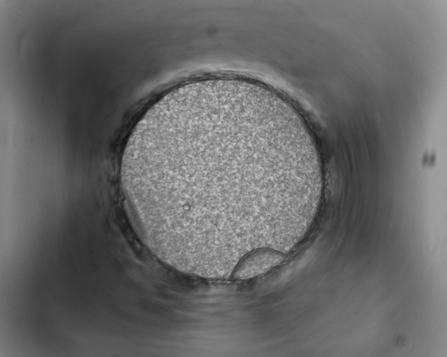 X0000102281494200808221251