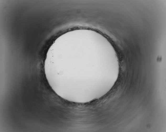 X0000102281495200808221251