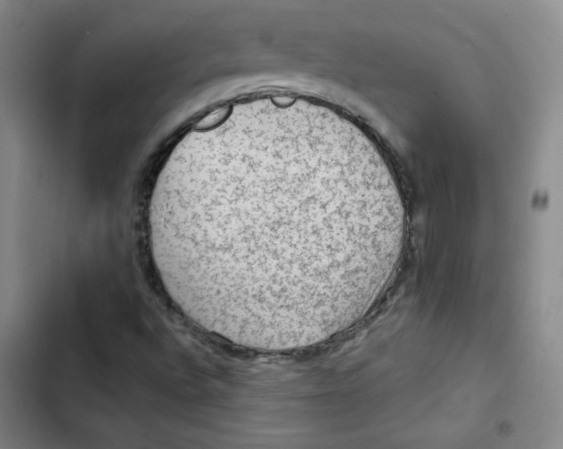 X0000102281496200808221251