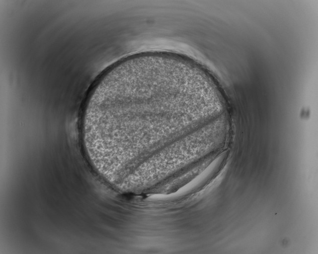 X0000102281497200808221251