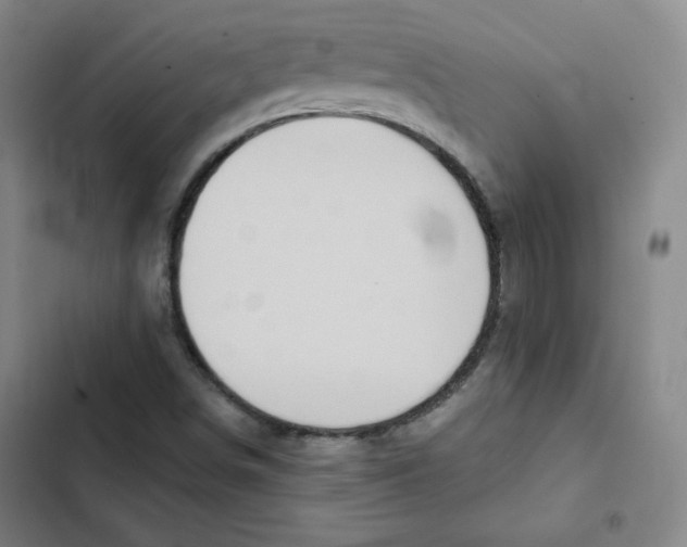 X0000102281498200808221251