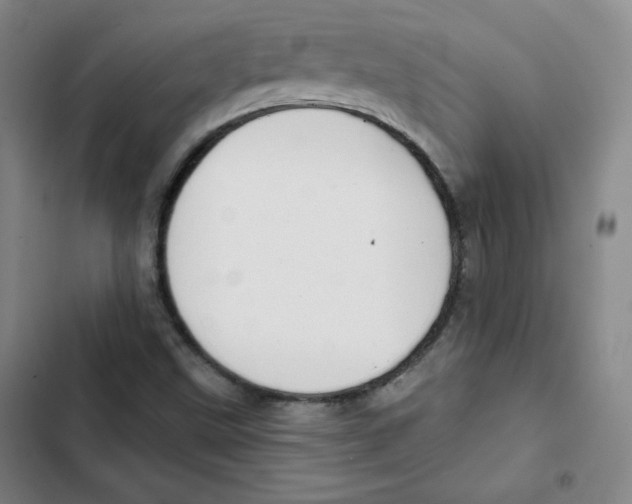 X0000102281499200808221251
