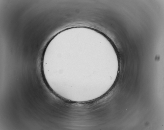 X0000102281500200808221251