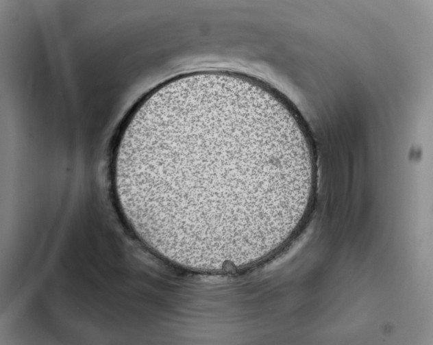 X0000102281501200808221251