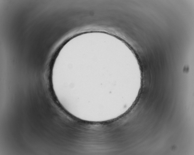 X0000102281502200808221251