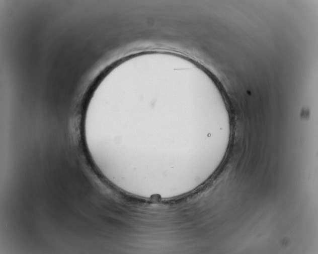 X0000102281503200808221252