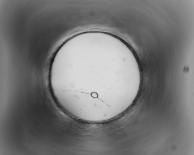 X0000102281504200808221252