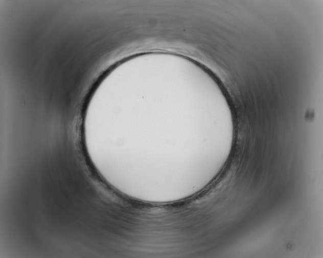 X0000102281507200808221252