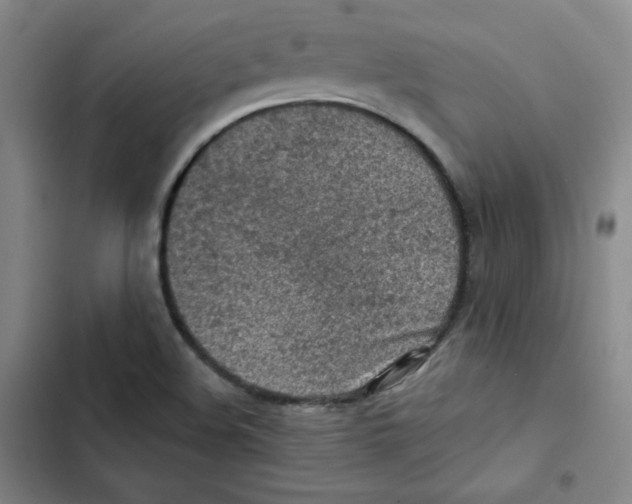X0000102281508200808221252