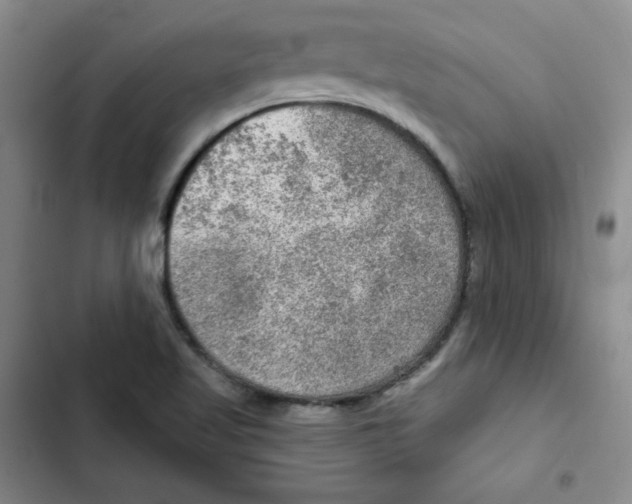 X0000102281509200808221252
