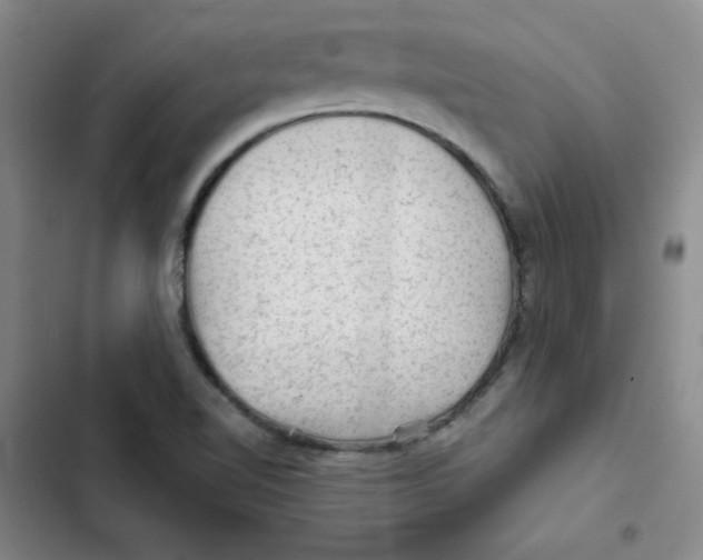X0000102281510200808221252