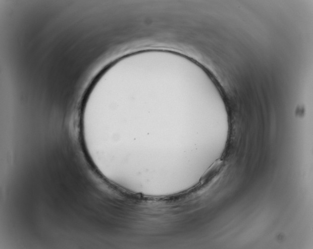 X0000102281511200808221252