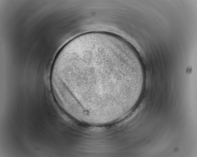 X0000102281513200808221252
