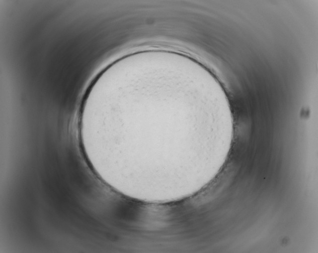 X0000102281514200808221252