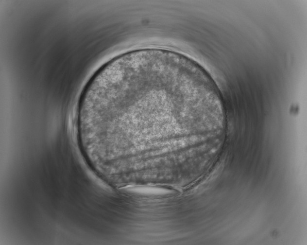 X0000102281515200808221252