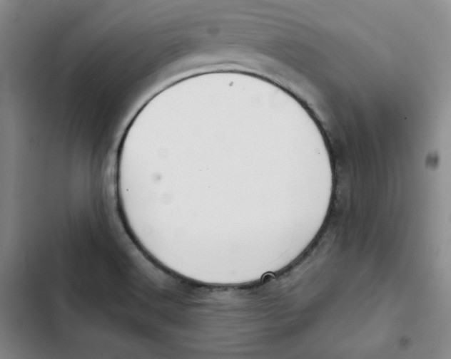 X0000102281516200808221252