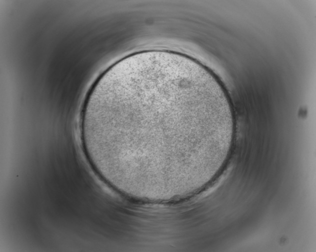 X0000102281517200808221252