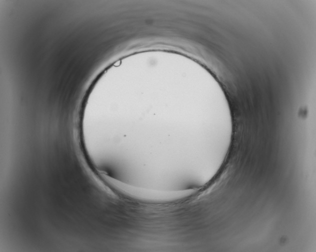 X0000102281518200808221252