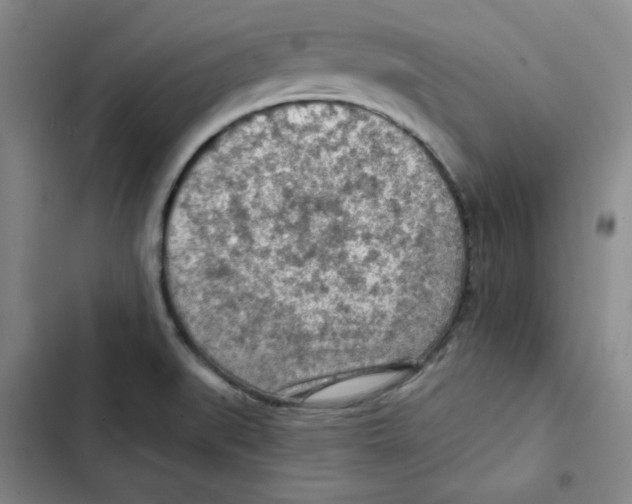X0000102281519200808221252