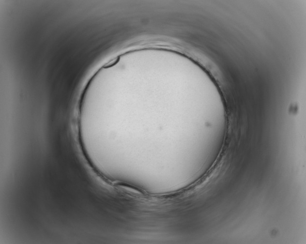 X0000102281520200808221252
