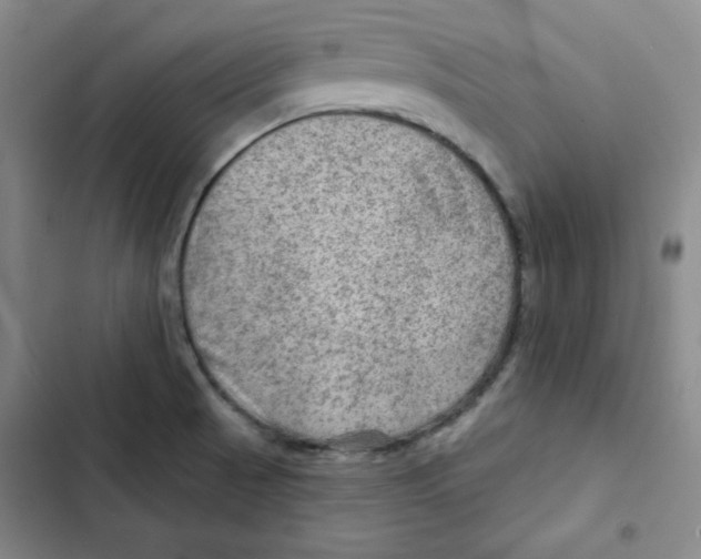 X0000102281521200808221252