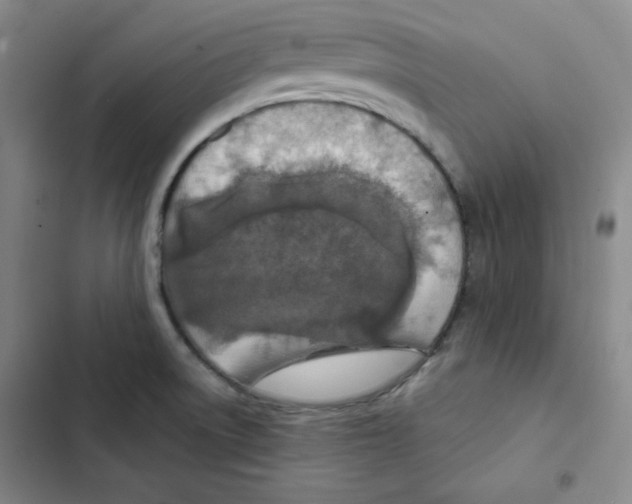 X0000102281522200808221252