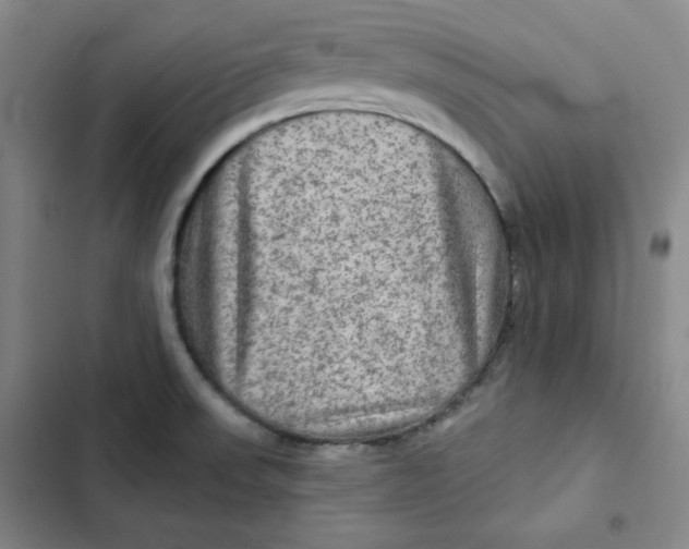 X0000102281523200808221252