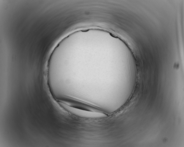 X0000102281524200808221252