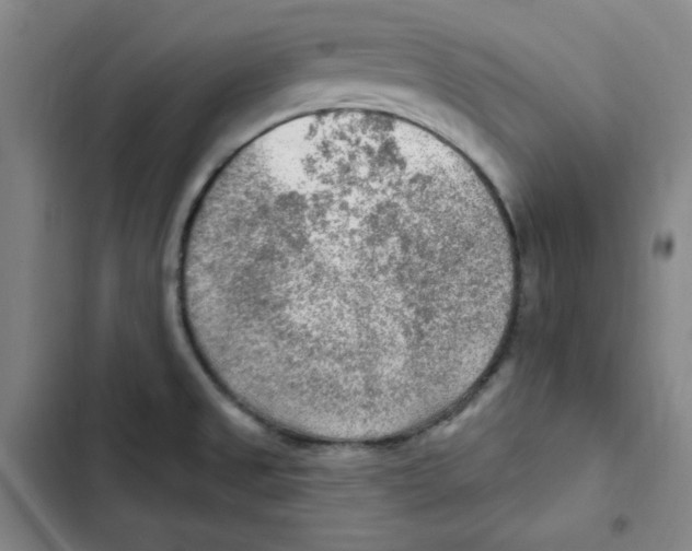 X0000102281525200808221252
