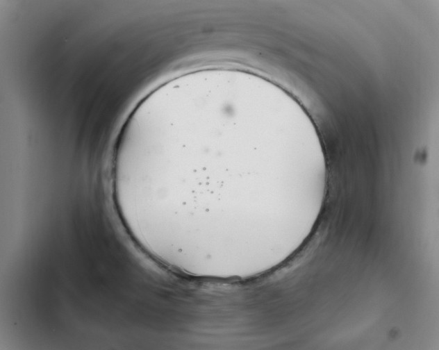 X0000102281526200808221252