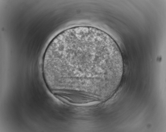 X0000102281527200808221252