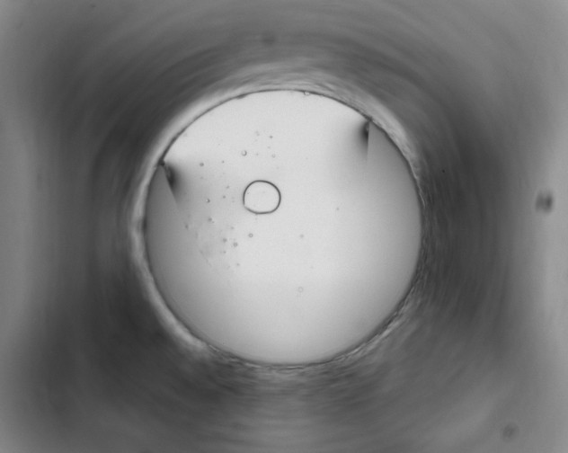 X0000102281528200808221252