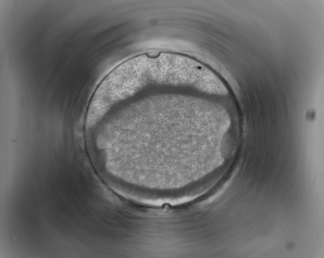 X0000102281529200808221252