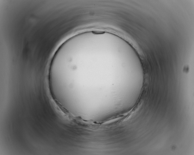X0000102281530200808221252