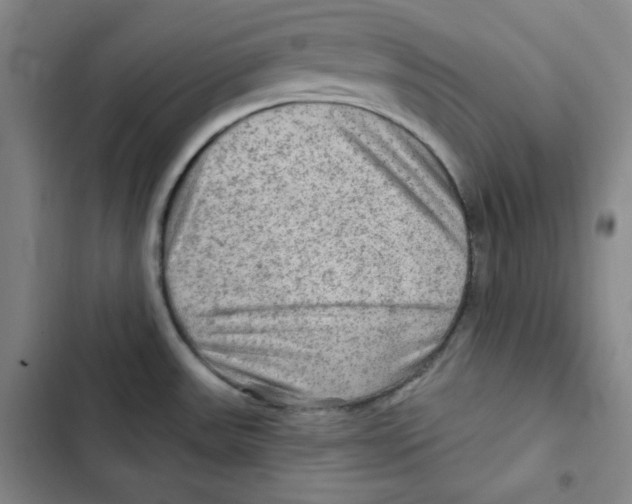 X0000102281531200808221252