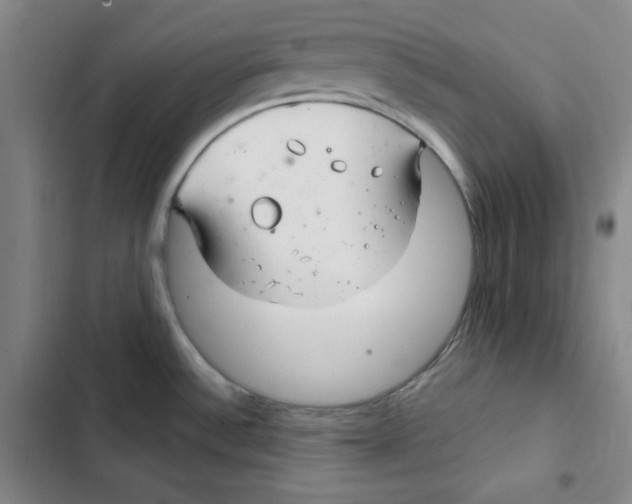 X0000102281532200808221252