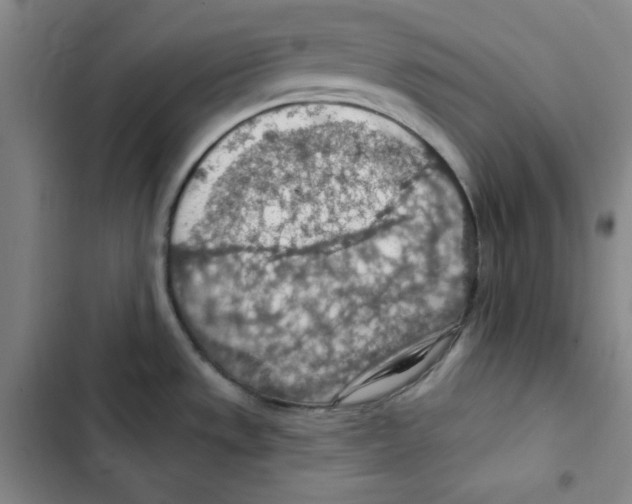 X0000102281533200808221252