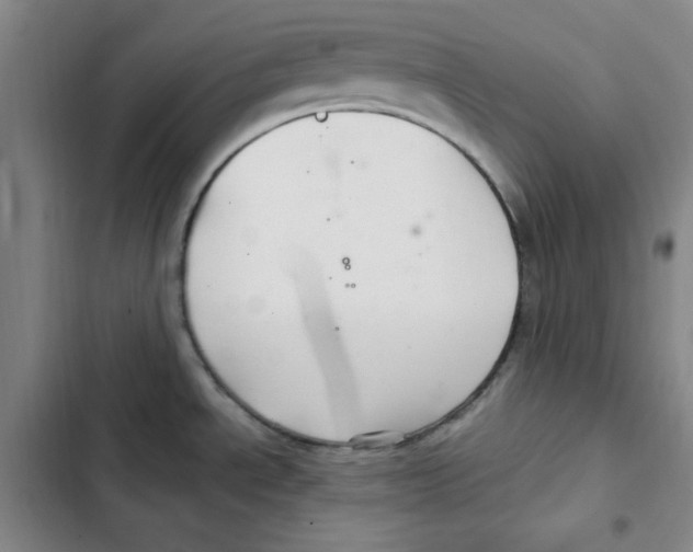 X0000102281534200808221252
