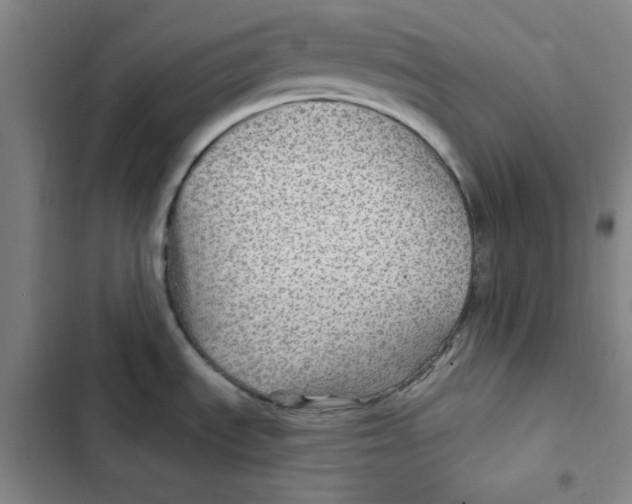 X0000102281535200808221252