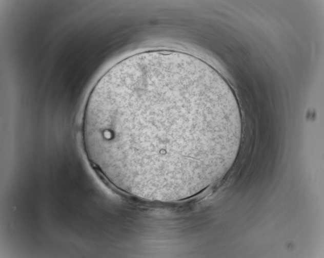 X0000102281536200808221252