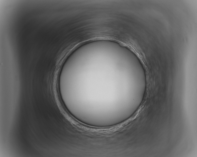 X0000102290001200807251010