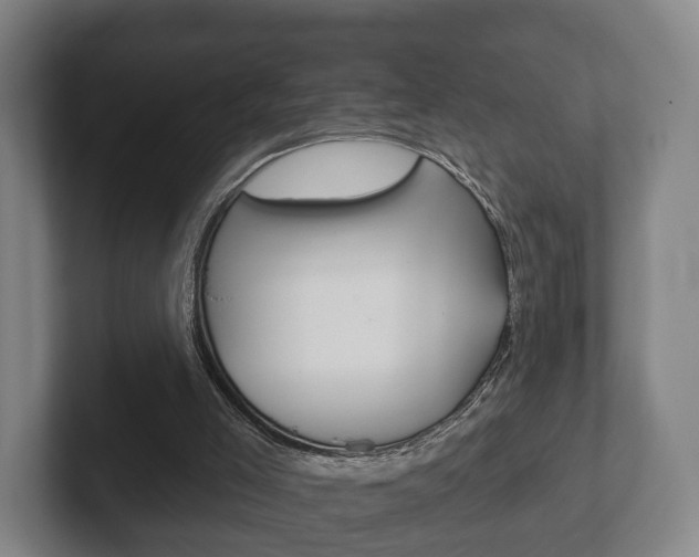X0000102290005200807251010