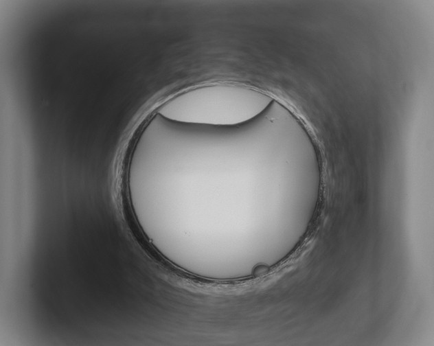 X0000102290007200807251010