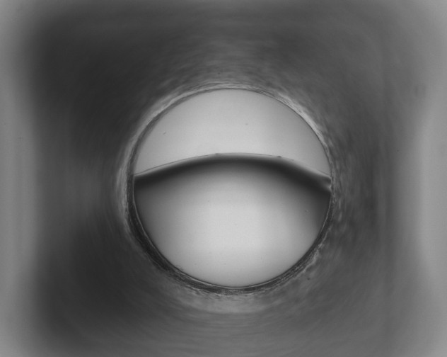 X0000102290008200807251010